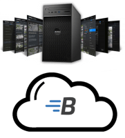 BriefCam Invest4Teams. file only