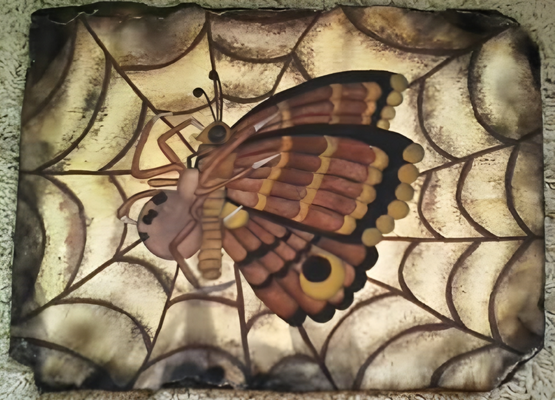 The Spider and the Moth