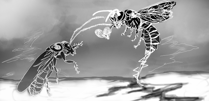 Wasp and Roach