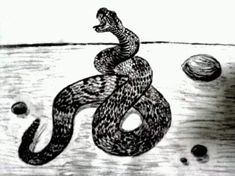 Rattlesnake