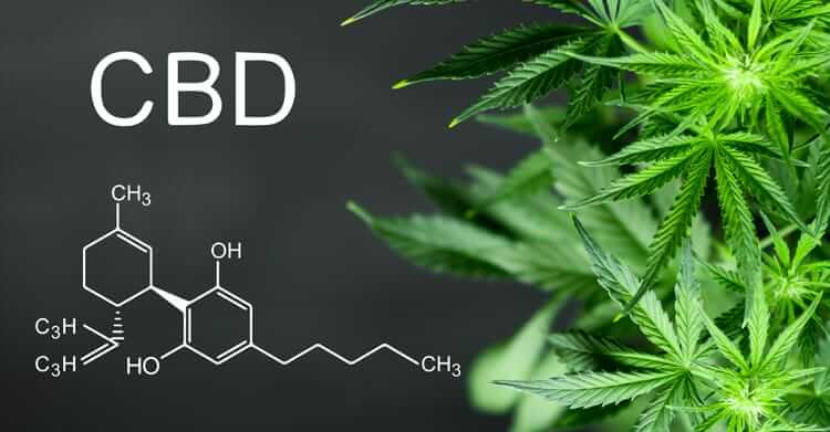 What is cbd