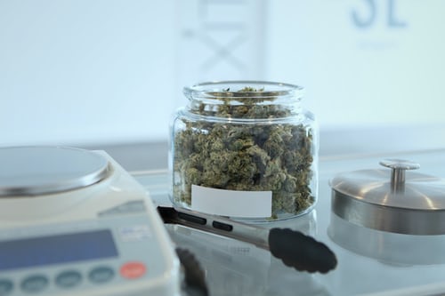 cannabis scales