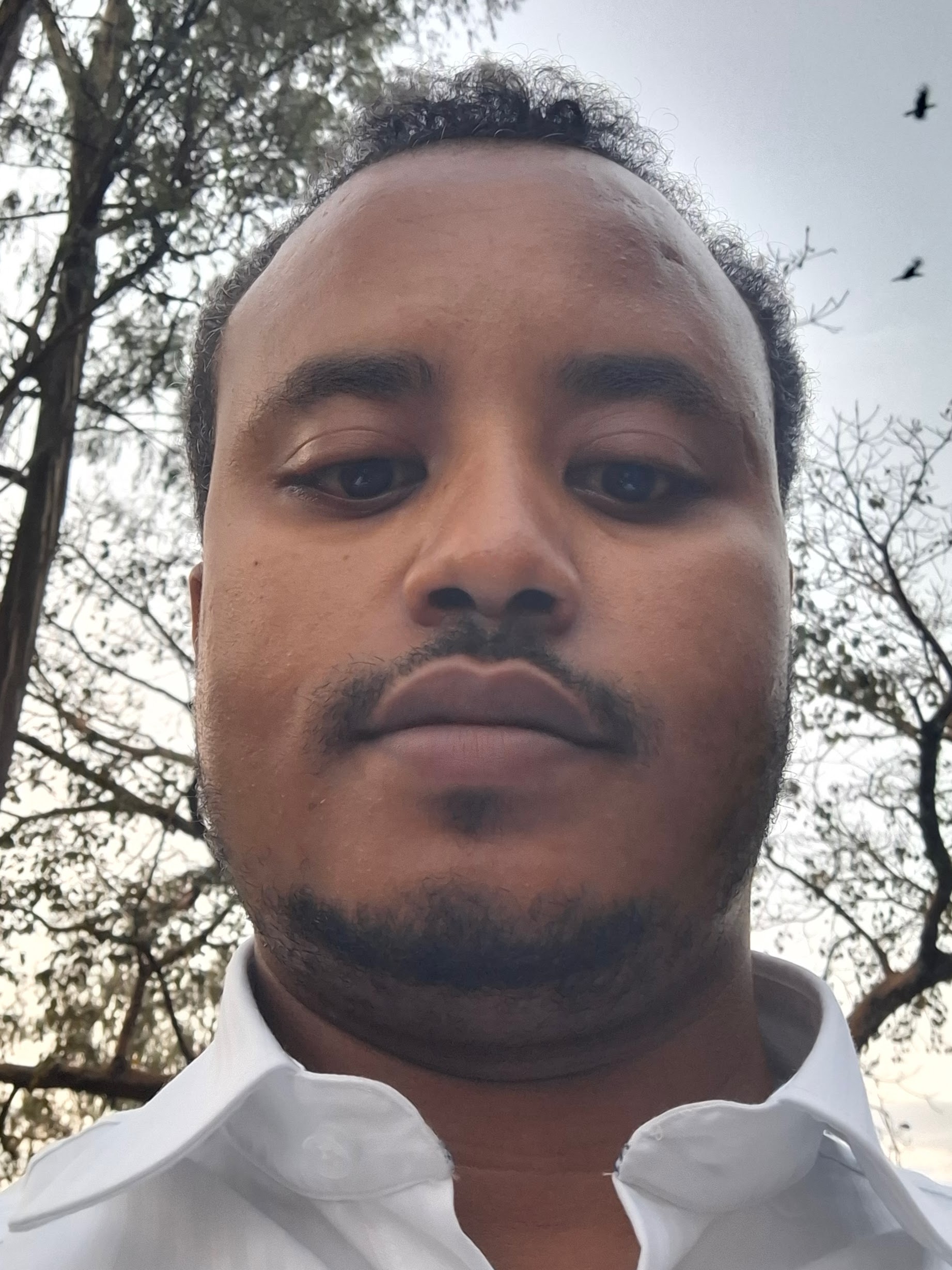 Alemayehu Abebe Guji portrait