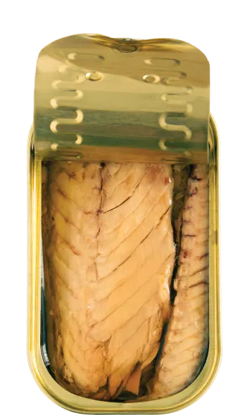 mackerel fillets in spicy olive oil open