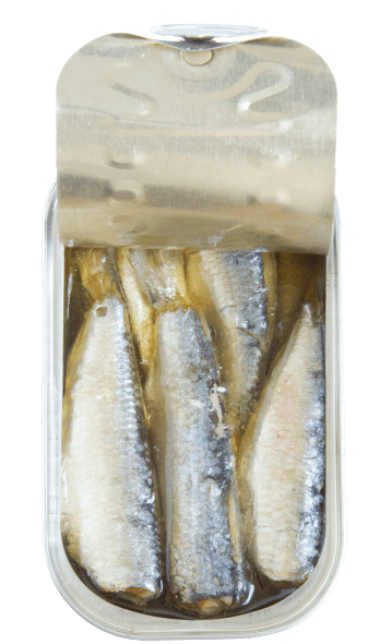 sardines in olive oil open