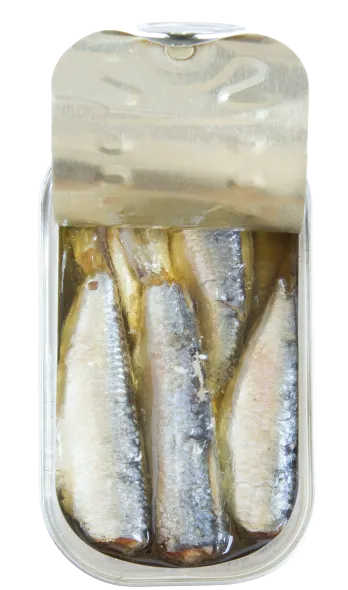 sardines in olive oil open