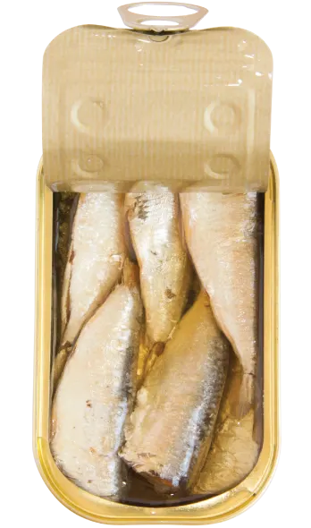 sardines in spicy olive oil open