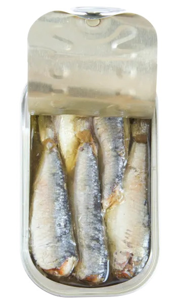 sardines in spicy vegetable oil open