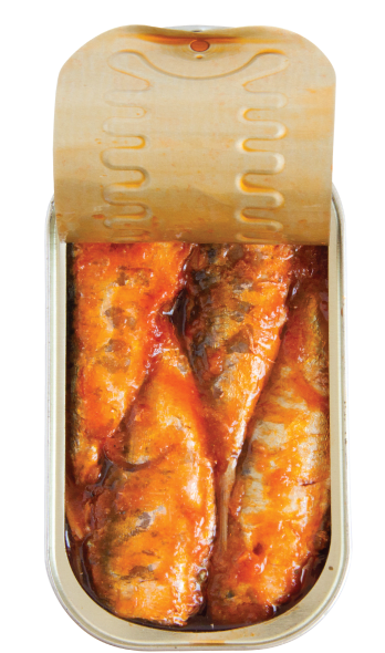 sardines in tomato open