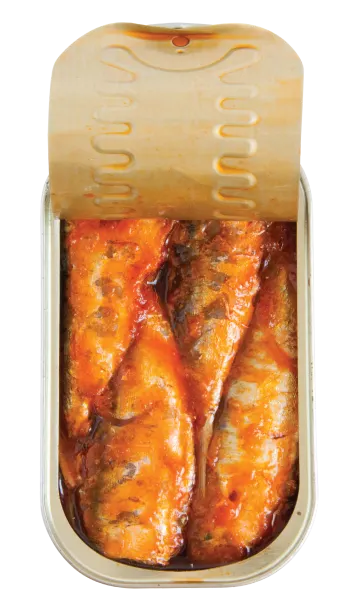 sardines in tomato open