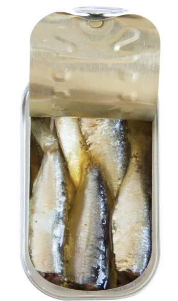 sardines in vegetable oil open