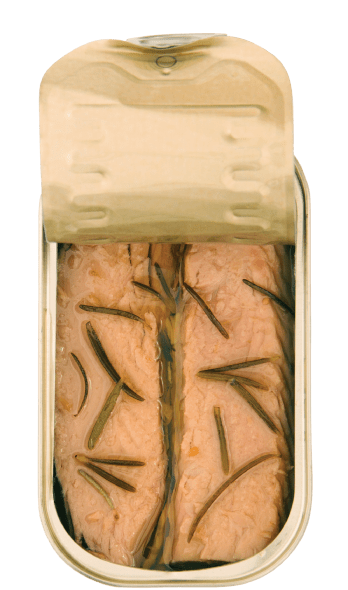 tuna fillets with rosemary open