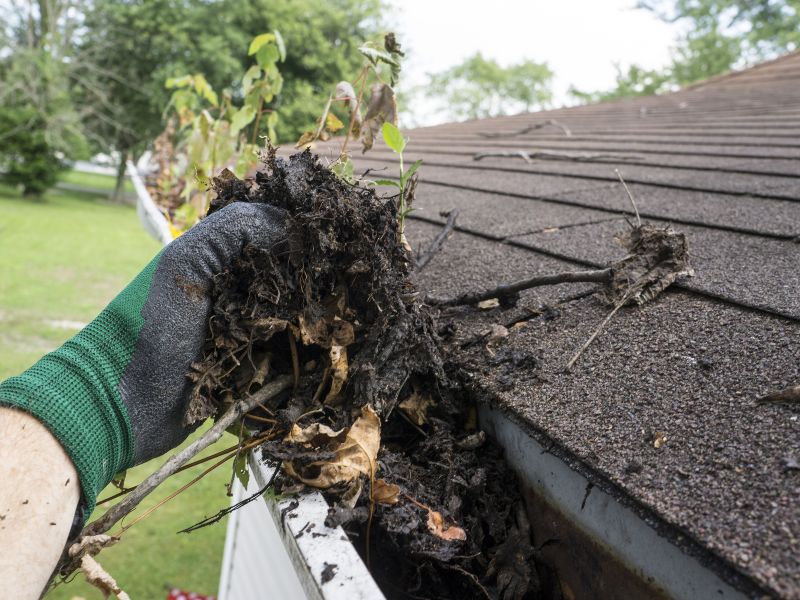 Professional Roof Cleaning