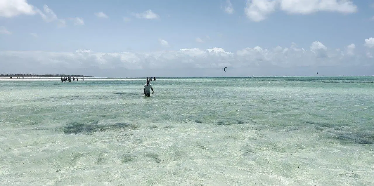 Snorkeling nelle acque cristalline della Watamu Marine Reserve