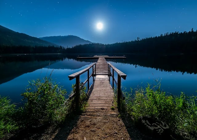 Paesaggio naturale illuminato dalla luce della luna di notte.
