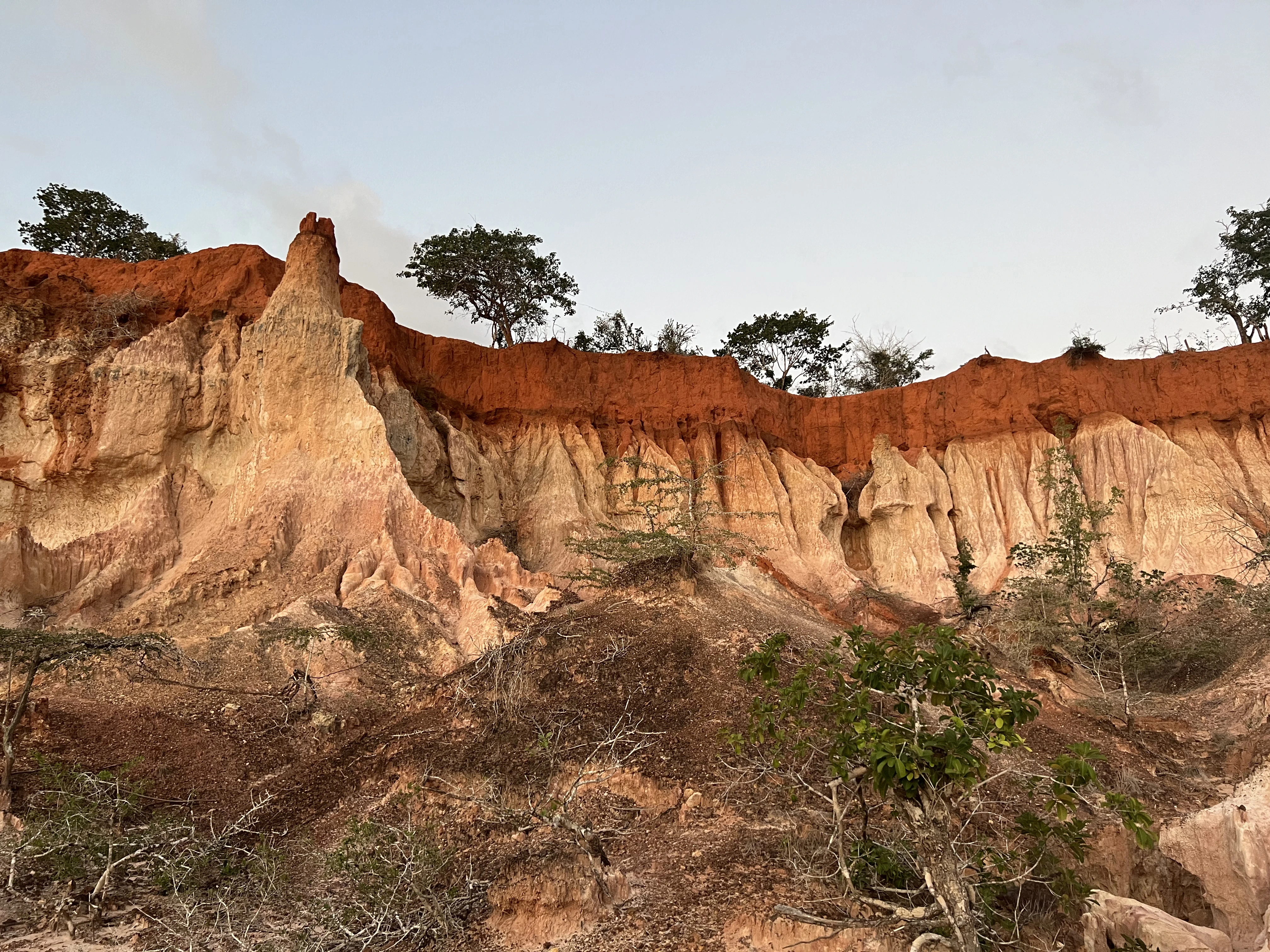 Pareti stratificate del canyon di Marafa che si ergono verso l'alto, con alberi e vegetazione che crescono sul bordo superiore.