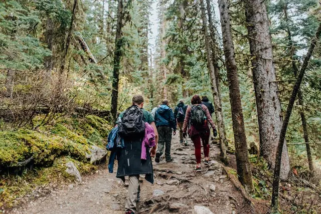 Viaggiatori con zaini che camminano in un sentiero naturale, simbolo di turismo lento.