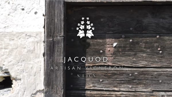 Jacquod Vins - Refonte complète & e-commerce sur mesure