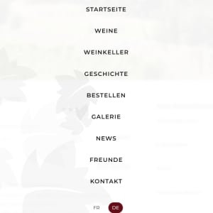 Menu principal animé avec navigation multilingue et éléments graphiques issus du logo