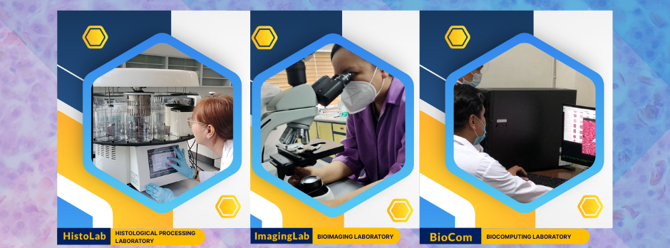 Center for Histomodeling and BioComputing in Applied Biomedical Research