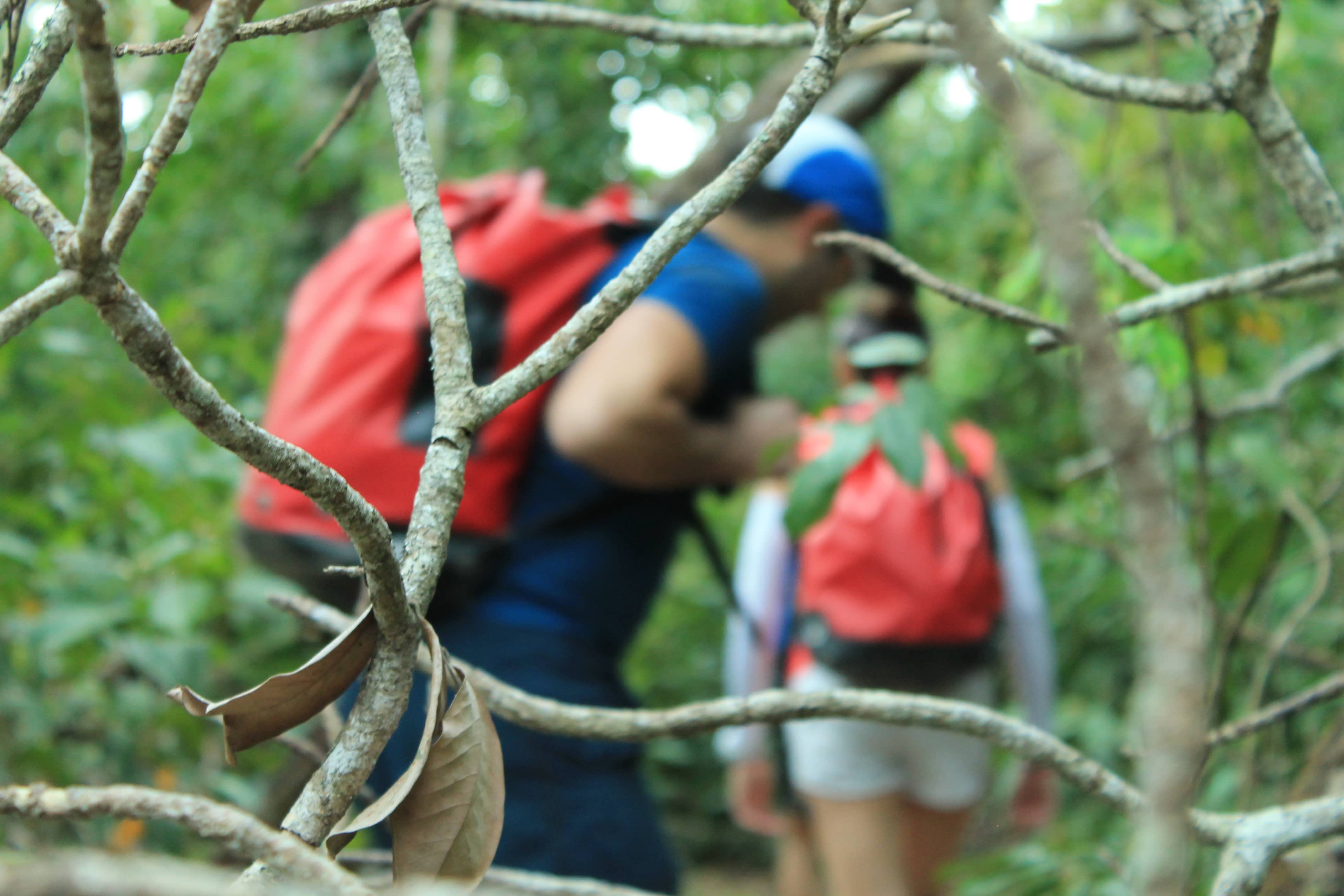 Cascada Mismaloya con Canyons PV