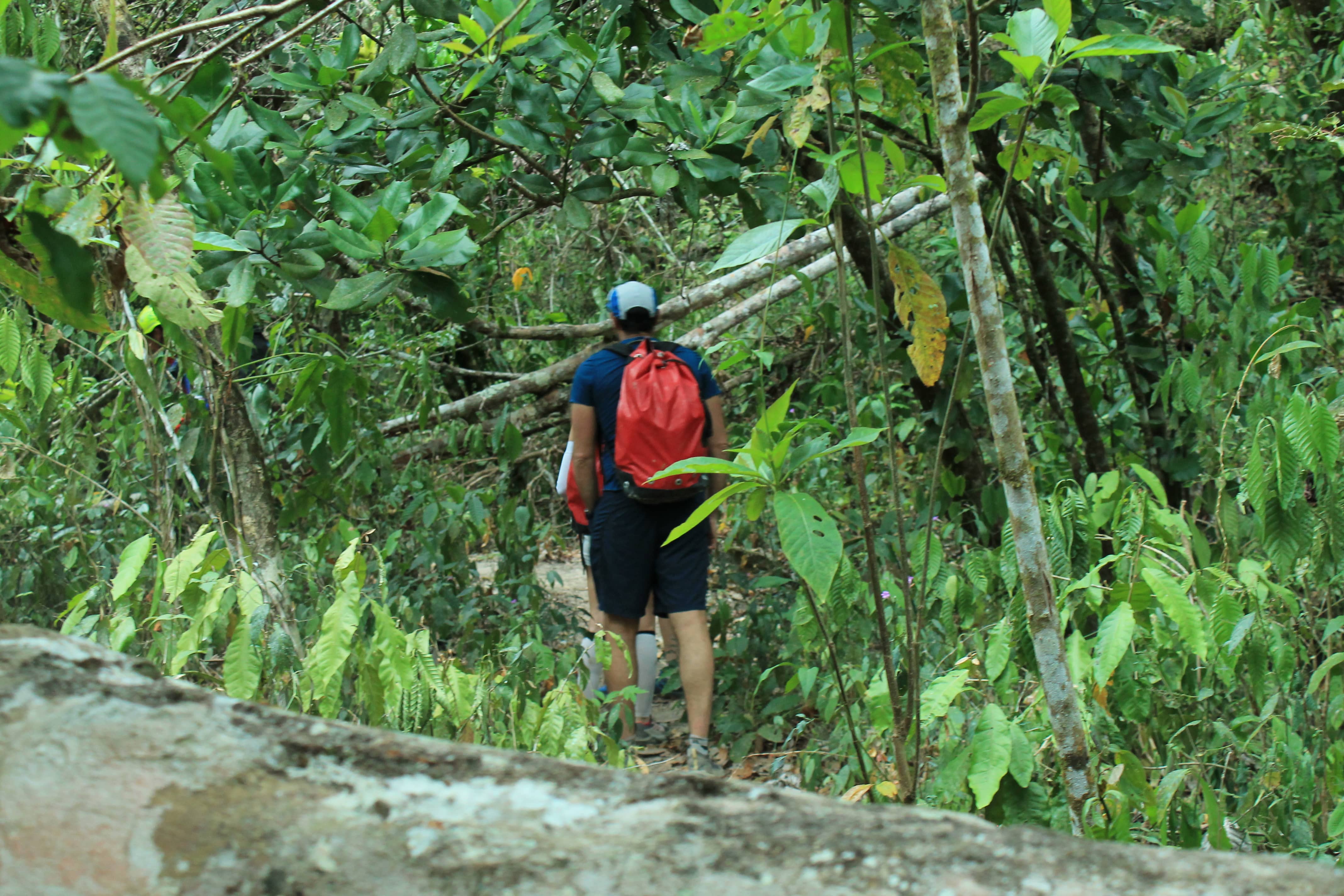 Cascada Mismaloya con Canyons PV