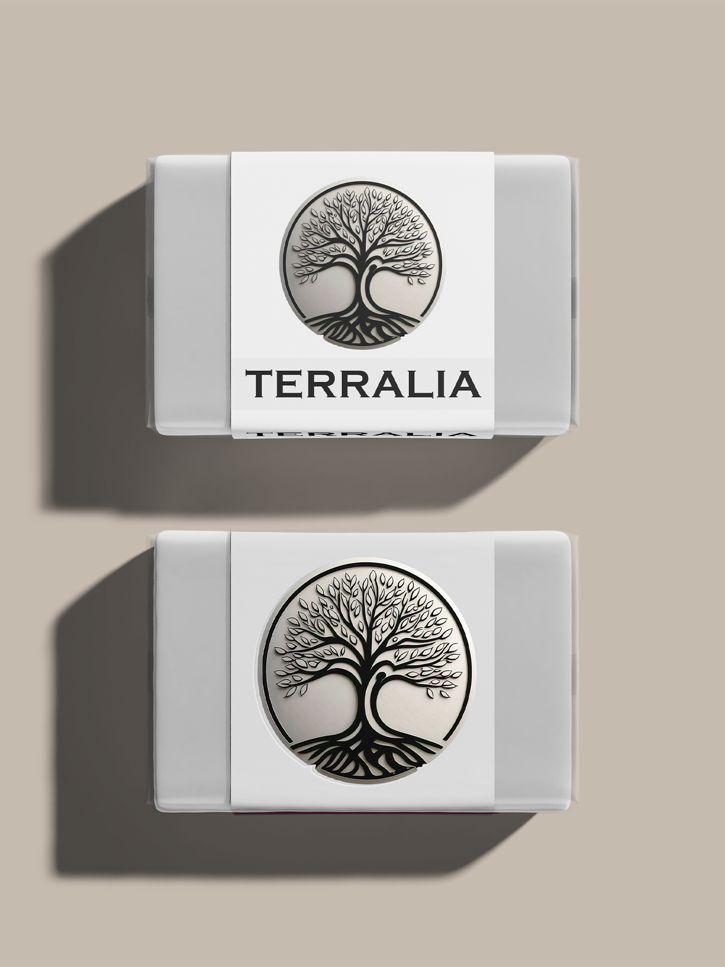 Proyecto Terralia