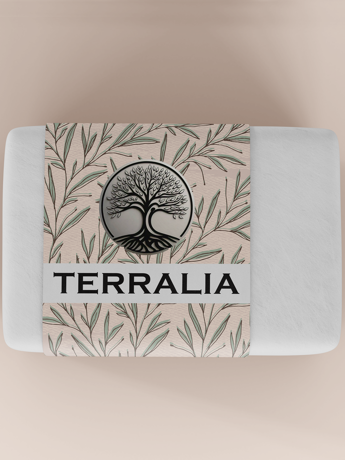 Proyecto Terralia