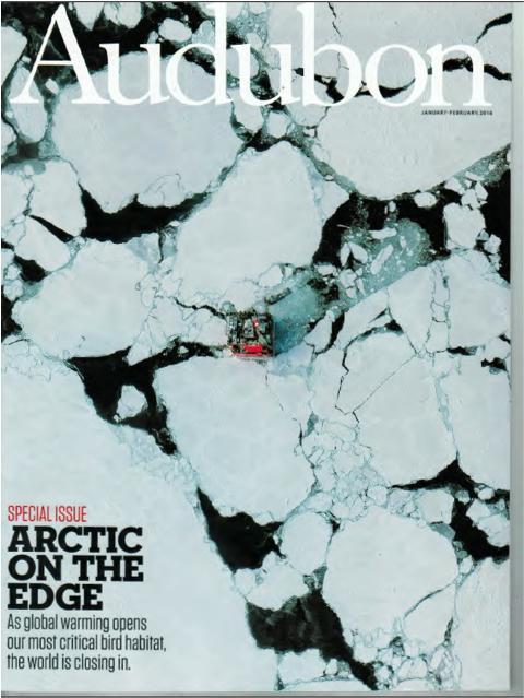 Audubon on the Arctic