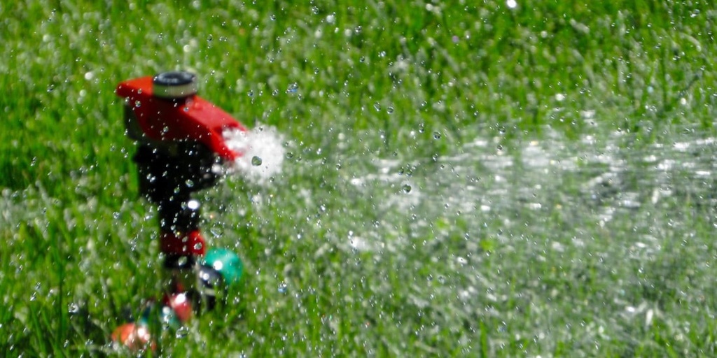 Water your lawn less