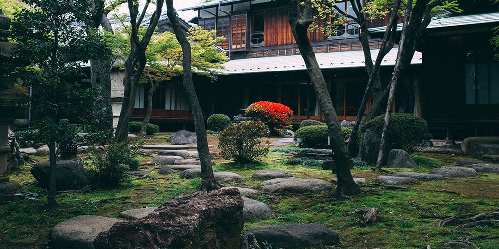 Replace your grass lawn