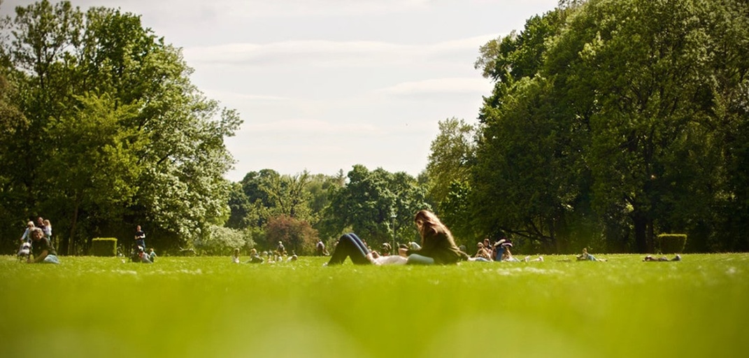 Save a green space