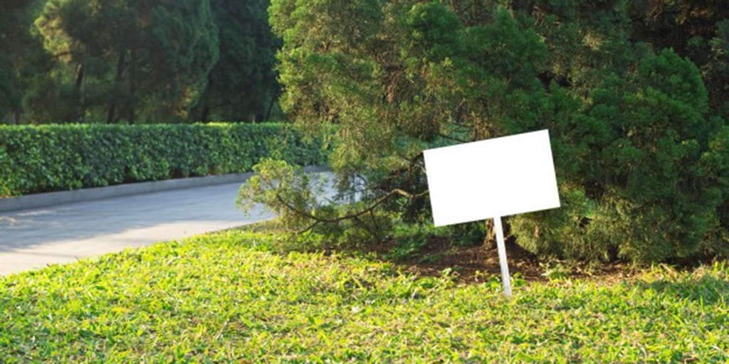 Put up election signs