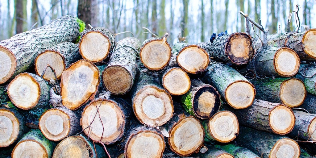 Carefully select wood products