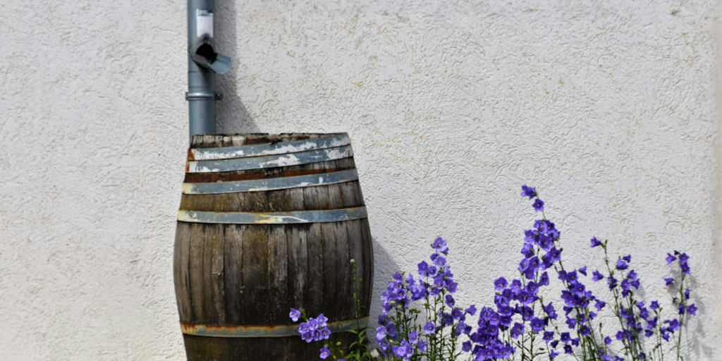 Setup rainwater harvesting