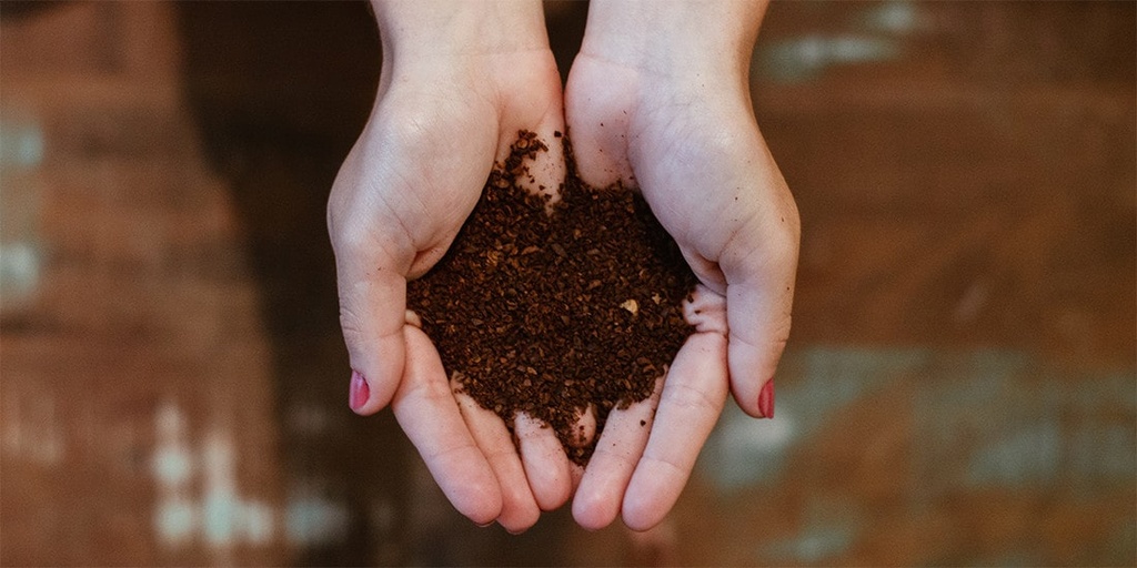 Start composting
