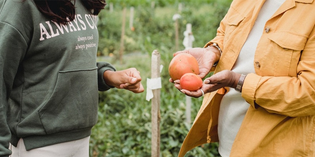 Start or join a community garden