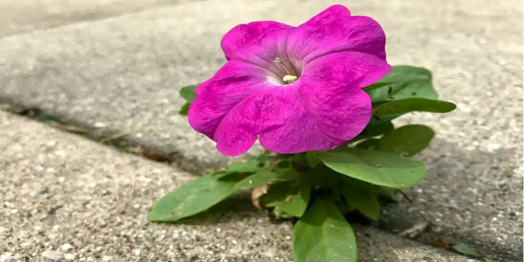 Be Resilient!