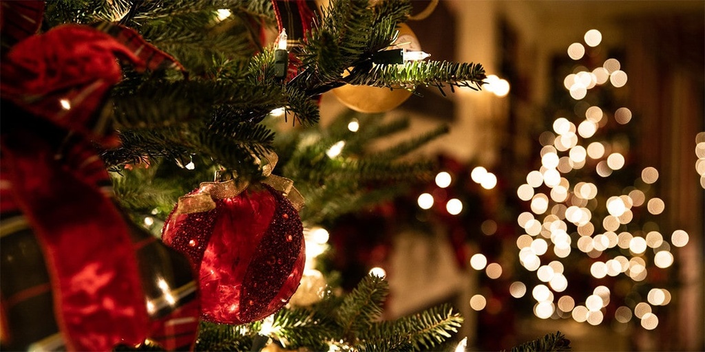 Reduce your Christmas tree impact