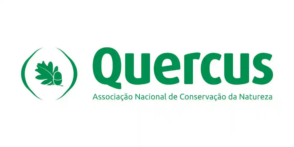 Quercus