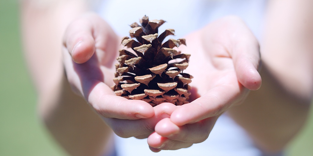 30 Easy Ways to Kickoff a Sustainable Lifestyle