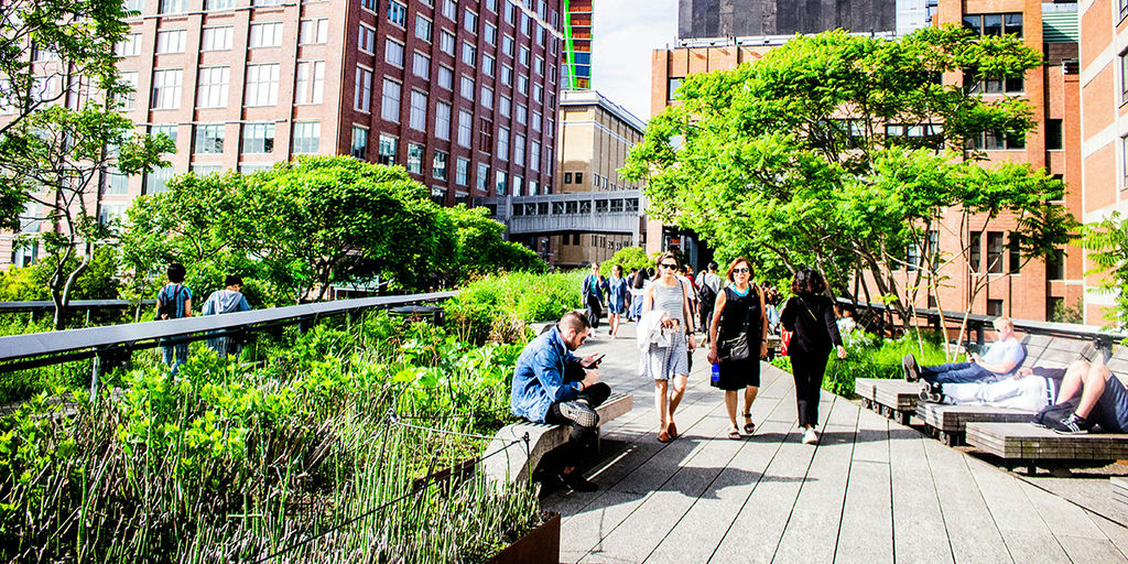 Building Climate Resilience: Where Function Meets Fun