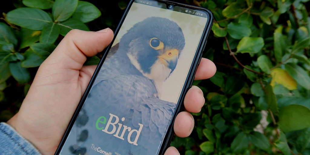 Embrace Nature: Apps for Connecting with the Great Outdoors Icon