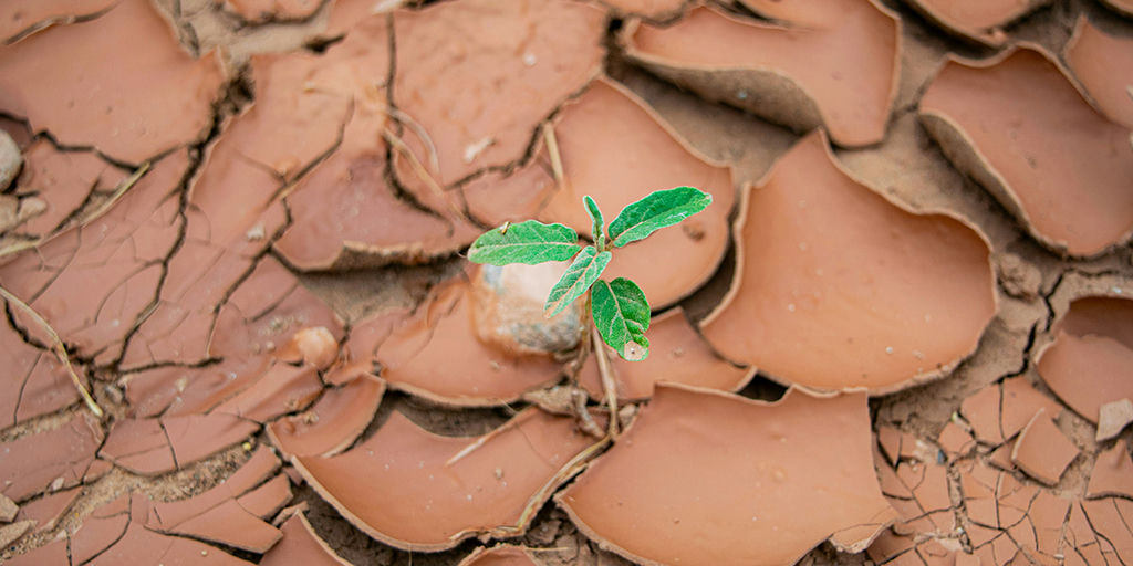 Five Signs of Hope: How the World Is Moving Towards Limiting Global Warming