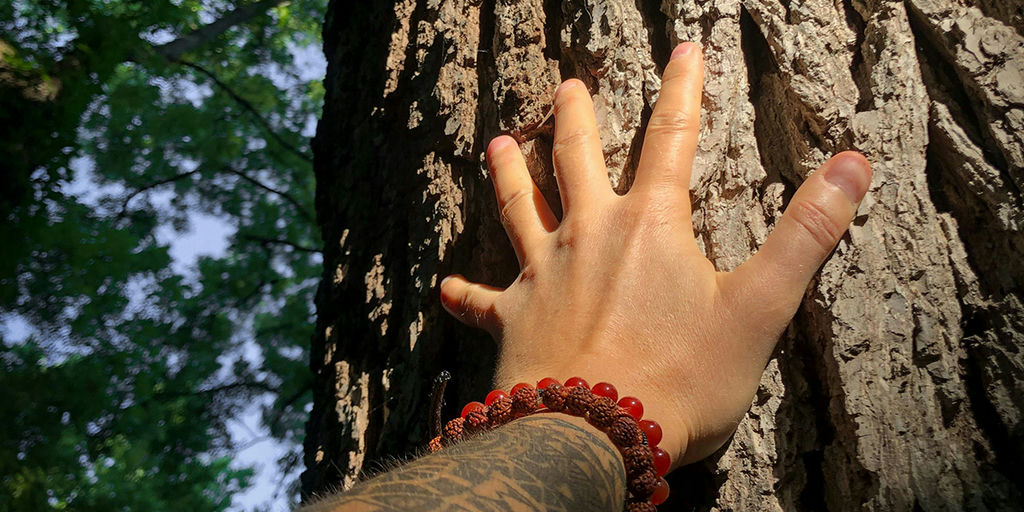 Re-Connecting with Nature to Save Our Earth