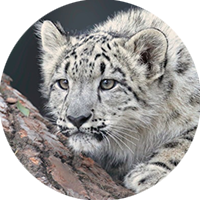 Team member Chirag Yadav