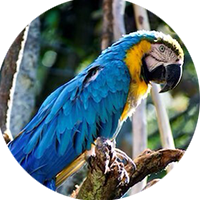 Team member Mrudula Krishnan