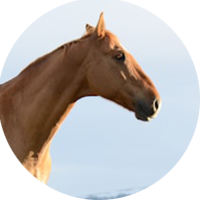 Team member Miyuki Matsuda