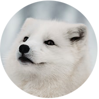 Team member Rachele Maggiolini 