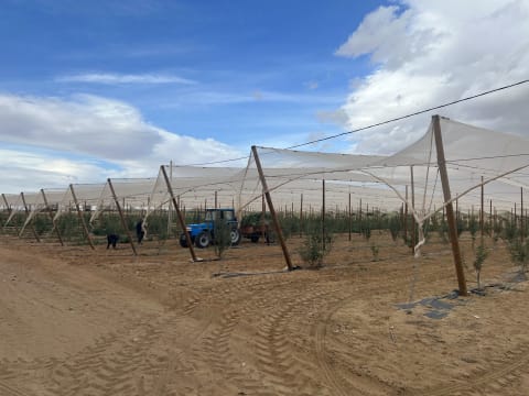 Sbeitla (Kasserine) - Tunisia